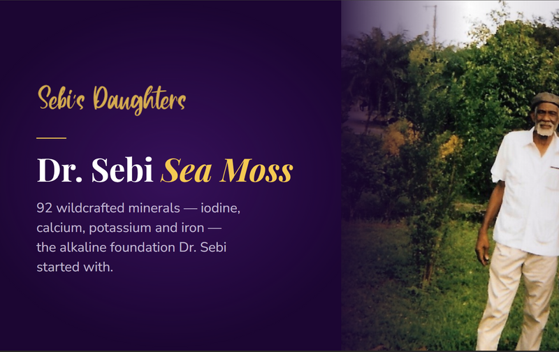 Dr. Sebi Sea Moss: The Complete Guide to Healing Minerals