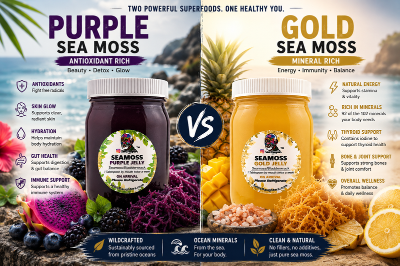Purple vs Gold Sea Moss: Which Supercharges Your Health?