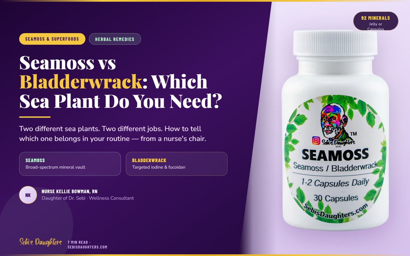 Seamoss vs Bladderwrack: Which Sea Plant Do You Need?