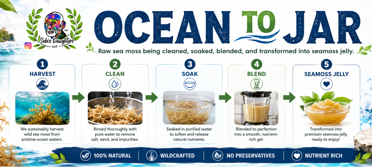 Sebi's Daughters Ocean to Jar, natural seamoss jelly from ocean to jar.