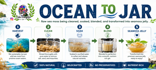 Sebi's Daughters Ocean to Jar, natural seamoss jelly from ocean to jar.