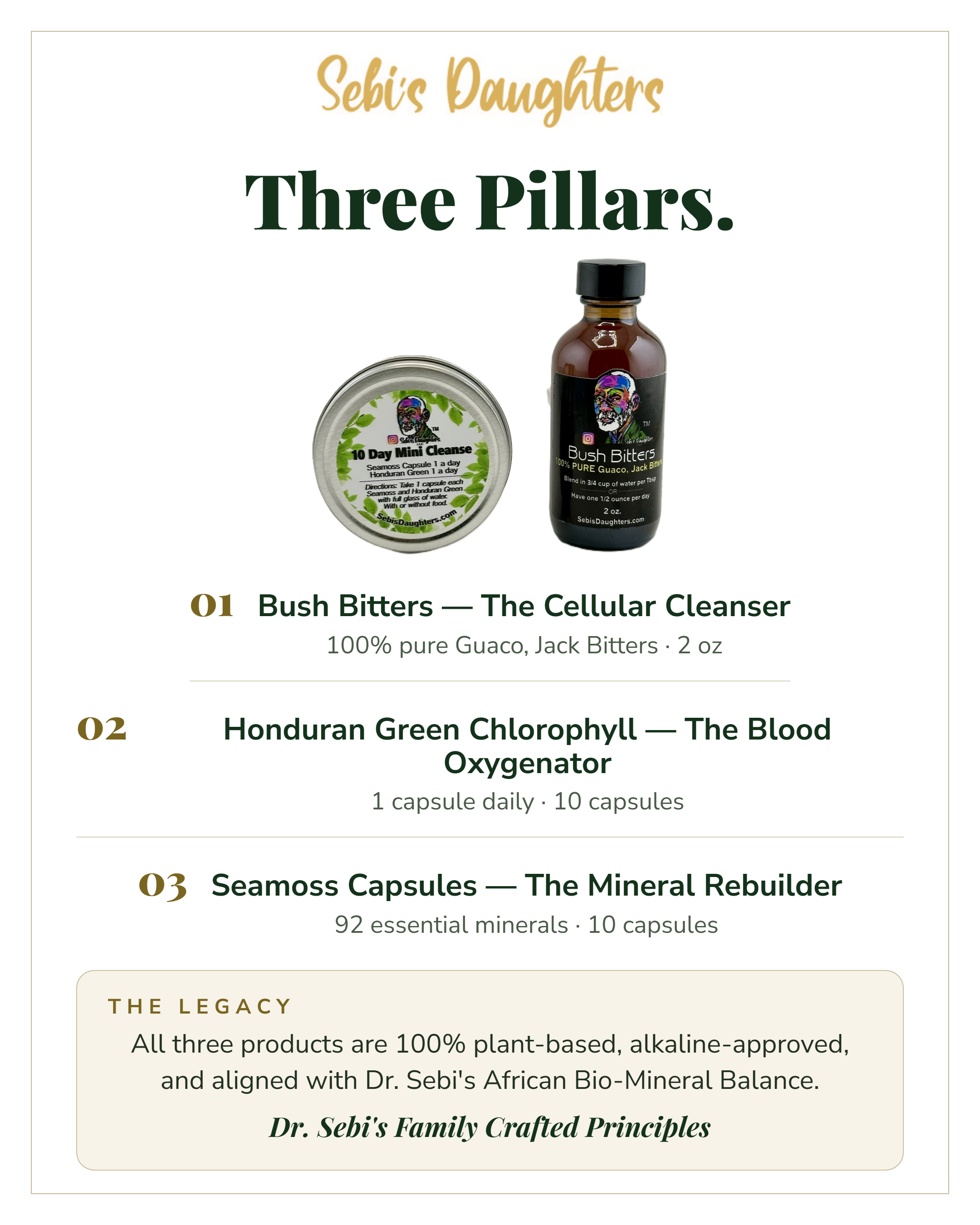 10-Day Mini Cleanse Kit – Organic Detox & Reset | Your First Step Into Dr. Sebi's Alkaline Protocol