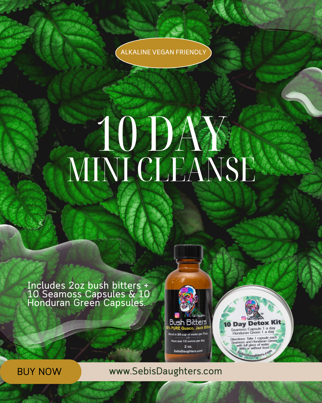 10 day mini cleanse kit