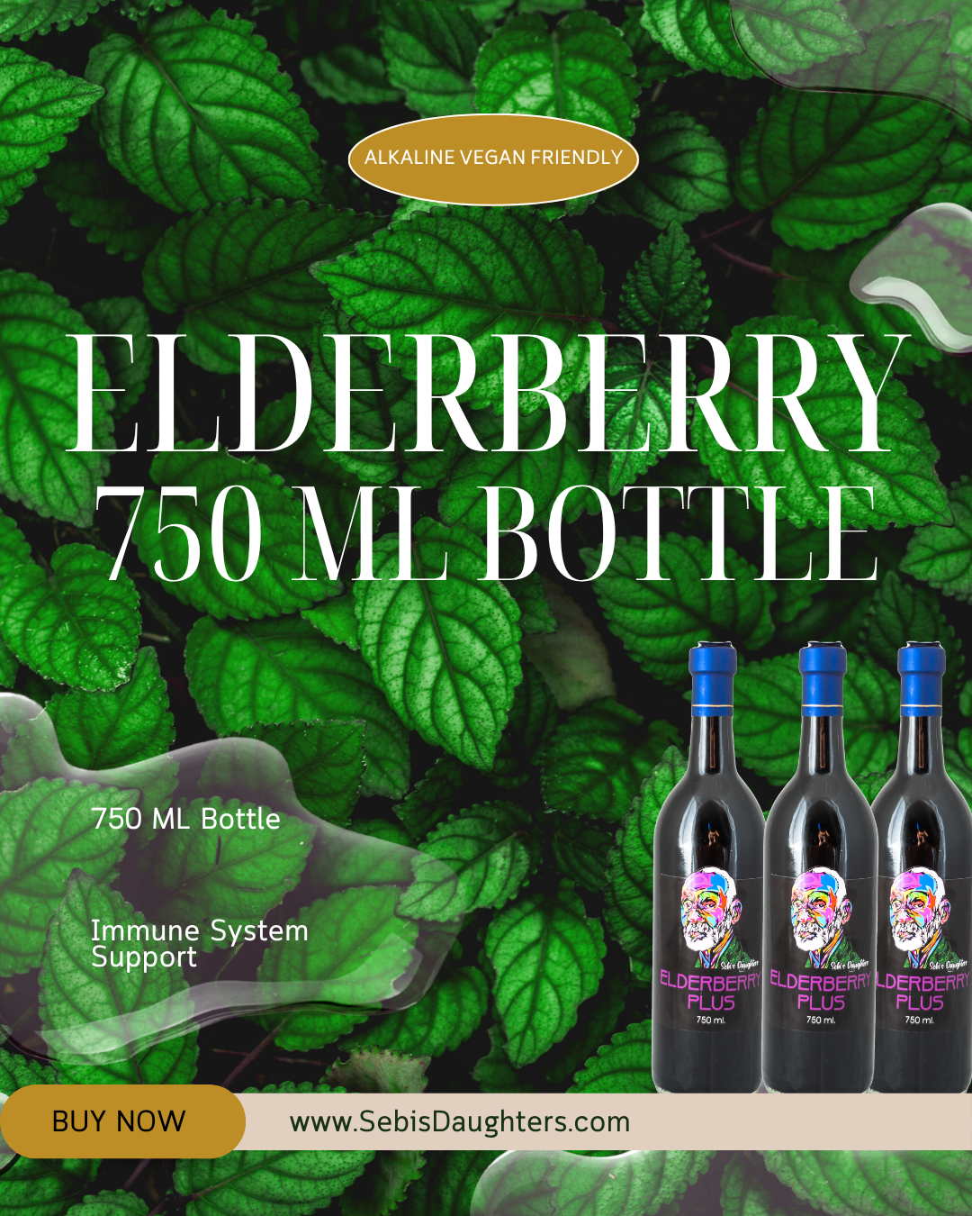 Elderberry Plus Syrup – 750mL | Organic Immune Support | Sebi's