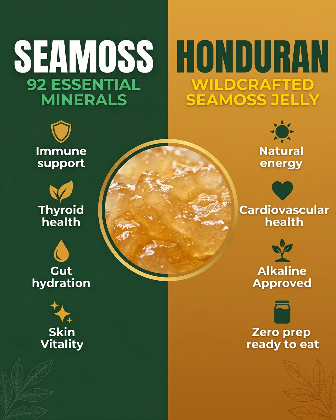 Organic Seamoss Jelly –  Original Formula 16oz | 92 Minerals, Zero Prep